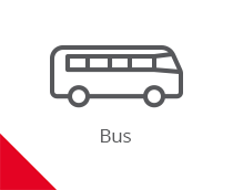 Buses