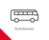 Buses